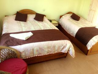 Hotel Himalayan Inn - Pokhara - 3