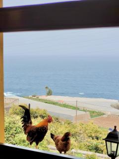 Bollullo Sunset - Bucare - 4