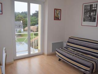 Appartement 3* face mer avec wifi, plage à 50m - Trégastel - FR-1-368-123 - Trégastel - 6