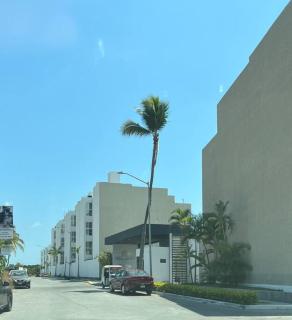 Best relax apartment in town + pool + 65” HDTV - 9