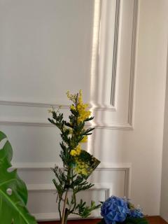 Hotel Livio - 2