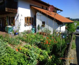 Appartement Schelhas - 6