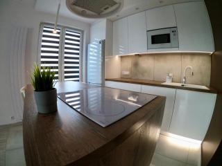 Apartment 2-Rooms-Garage-Gym-TV-Wifi - Poznań - 9