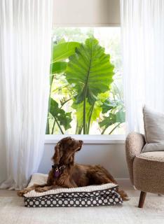 Tallowwood House Luxury Bed & Breakfast - Port Macquarie - 2