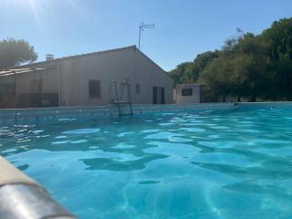 petit coin de paradis en camargue entre Aigues mortes et les saintes maries de la mer, animaux bienvenus - 6