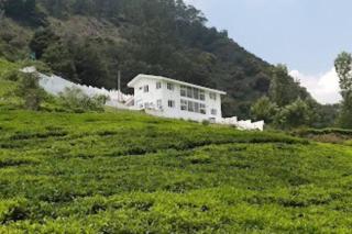 lynfields leisure - Ooty - 9