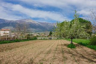 CASAMONACO - Castrovillari - 6