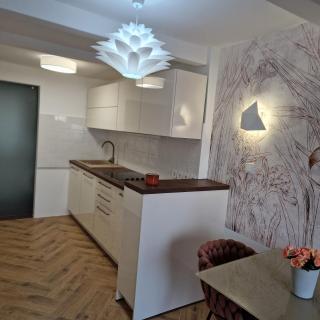 Apartment Fay - Mali Lošinj - 2