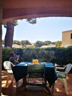 Apt t2/4 pers/ rez de jardin\pinède\piscine - 9