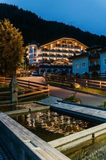 Hotel Cesa Tyrol - Canazei - 0
