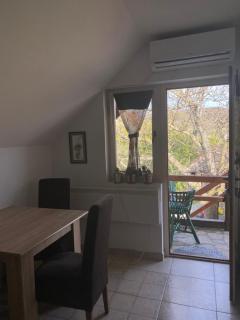 Ilkićev kućerak Studio - Vrdnik - 7