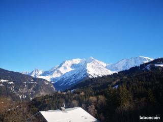 Vue splendide Mont Blanc - 4