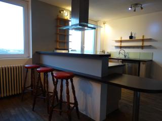 Grand appartement paisible et confortable - Lannion - 5