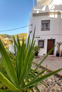 El Molinillo - Ojén - 1