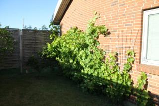 Hine Bakke Bed And Breakfast - Rudkøbing - 5