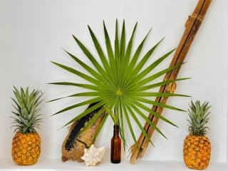 Casa Erizo Mahahual - Adults Only - Mahahual - 0