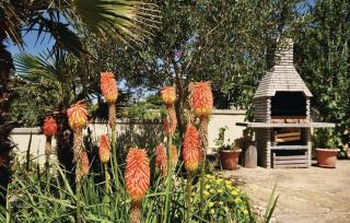 Apartments with a parking space Mandre, Pag - 12409 - 4