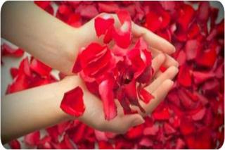 Clarion Faria Lima - 7