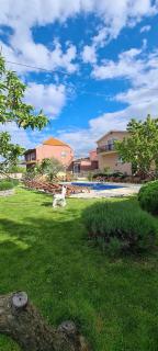 House Fun&Relax - Šestanovac - 7