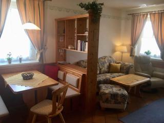 Apartment in Bad Waltersdorf - Steiermark 44009 - Bad Waltersdorf - 3