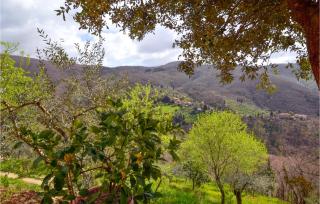 Nice Home In Castiglion Fiorentino - 5