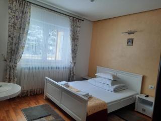 Pensiunea Putnisoara - 8