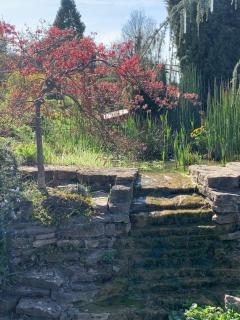 La Grenouillère - 3