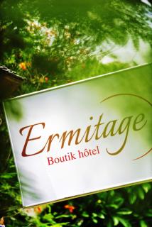 Hôtel Exsel Ermitage - Saint-Gilles-les-Bains - 9
