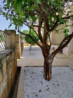 Chania Sweet Apts - 6