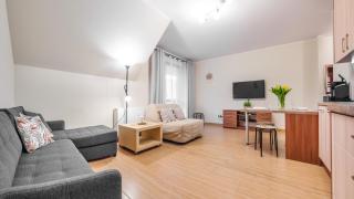 Apartamenty Sun & Snow Żeromskiego Krynica Morska - blisko morza - Krynica Morska - 8