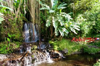 Maha Gangga Valley by ecommerceloka - Tirtagangga - 2
