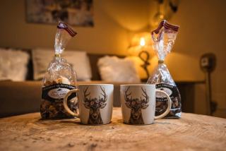 Les Chouchous du Ried 3 / Proche Europapark - Saasenheim - 8