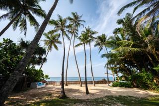 Bellini Blue - Unawatuna - 8