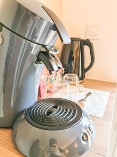 Élégante suite à deux pas de la Cité Épiscopale d'Albi - Albi - 8