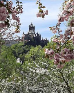 Am Fuhrweg - Cochem - 2