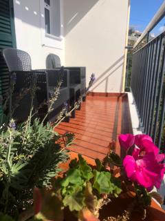 Sunshine Room - Gaula - 0