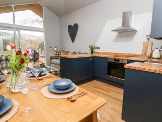 Doe Lodge - Rhayader - 3