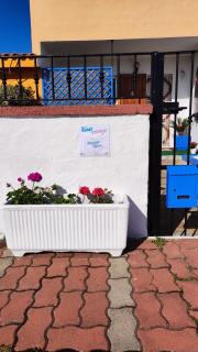 Casa Flamingo House - San Teodoro - 5