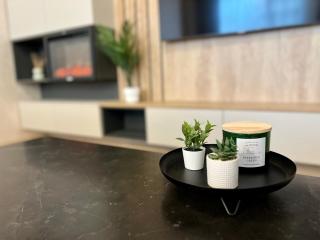 Mountain Retreat-Modern 1BR w/ Fireplace & Parking - Braşov - 5