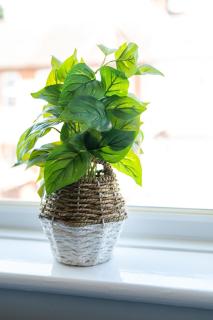 Elmcroft Apartment - 10 Mins Walk to Woking Town Centre - 4