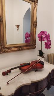Alfycodindia - Catania - 9