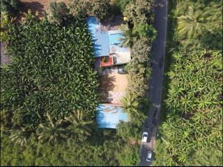 BANANA FARM HOUSE - Hampi - 5