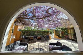 Le Cosy - Saint-Aygulf - 3