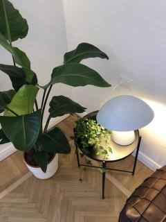 BnButler - Guercino, 8 - Renovated Design Apartment - Milan - 1
