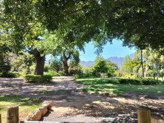 Olive and Vine Farm Cottage - Franschhoek - 0