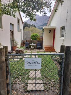 Olive and Vine Farm Cottage - Franschhoek - 8
