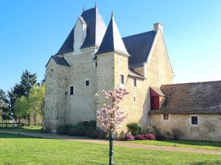 Manoir de la Beunèche - location du manoir entier - Roézé-sur-Sarthe - 9