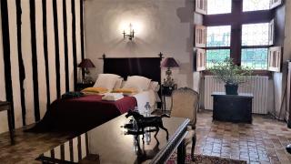 Manoir de la Beunèche - location du manoir entier - Roézé-sur-Sarthe - 5