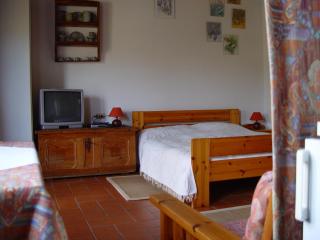 Villa Buonasera Agriturismo - Greve in Chianti - 3