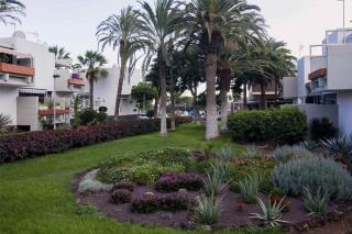 Tenerife Primavera - Arona - 9
